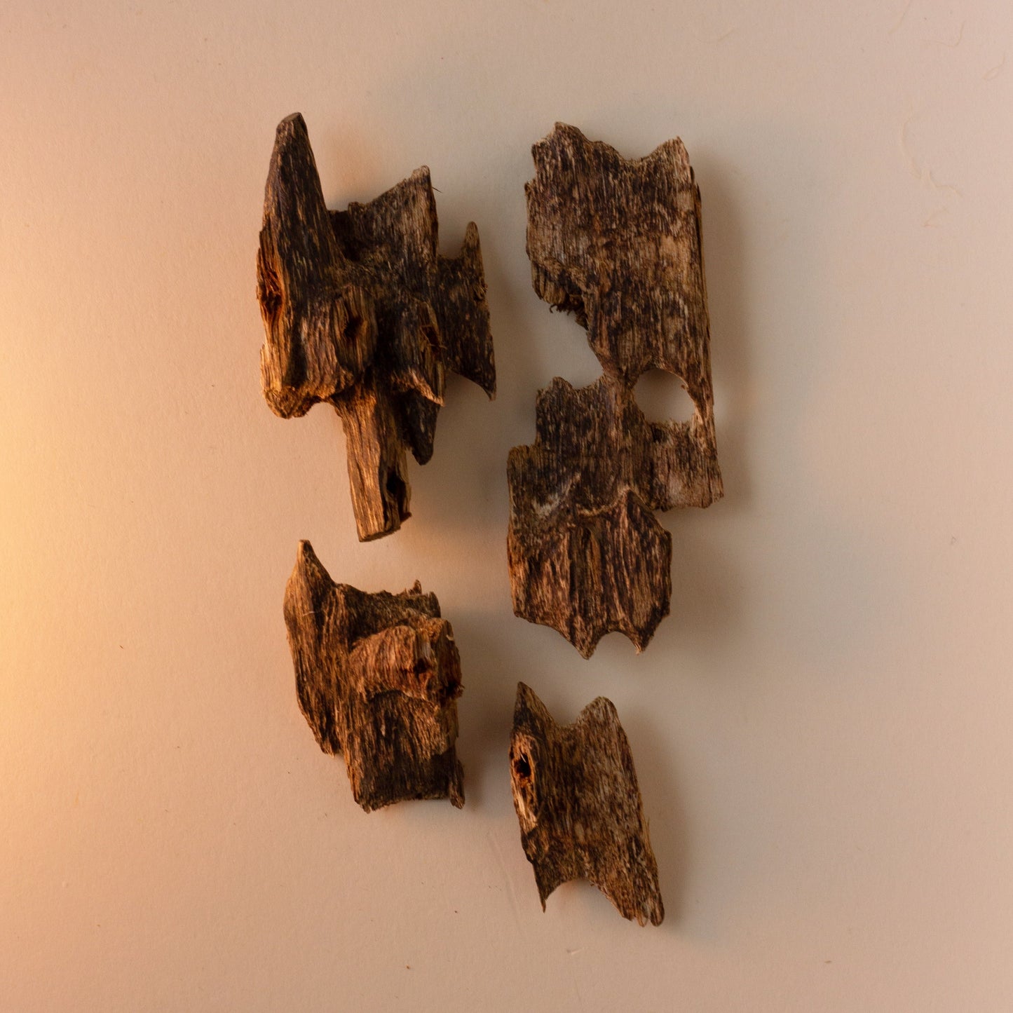 Agarwood - Lombok Island