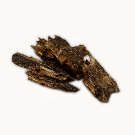 Agarwood - Lombok Island